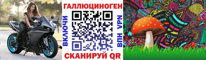 Псилоцибиновые грибы Psilocybine cubensis  Купить закладки  Южа 